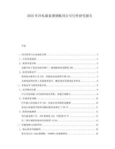 2025年冷軋?zhí)妓乇′摪屙?xiàng)目可行性研究報(bào)告