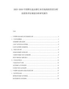 2025-2030中國(guó)降壓起動(dòng)器行業(yè)市場(chǎng)現(xiàn)狀供需分析及投資評(píng)估規(guī)劃分析研究報(bào)告