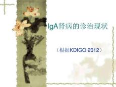 IgA肾病诊治现状