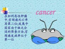 子宮頸癌-PPT文檔