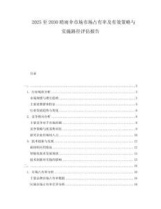 2025至2030晴雨傘市場市場占有率及有效策略與實施路徑評估報告