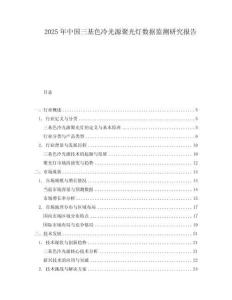2025年中國三基色冷光源聚光燈數據監測研究報告