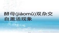 【食品飲料安全與質量】酵母雙雜交自激活現象