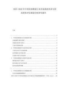 2025-2030年中國肩部假肢行業市場現狀供需分析及投資評估規劃分析研究報告
