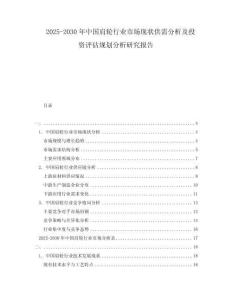 2025-2030年中國肩輪行業市場現狀供需分析及投資評估規劃分析研究報告