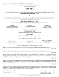 【SEC-2025行業(yè)研究報(bào)告】Form 10-K A WYTEC INTERNATIONAL INC