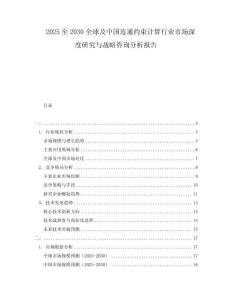 2025至2030全球及中國連通約束計算行業市場深度研究與戰略咨詢分析報告