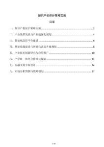 知識產權保護策略實施