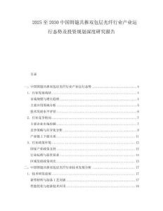2025至2030中國鉺鐿共摻雙包層光纖行業產業運行態勢及投資規劃深度研究報告