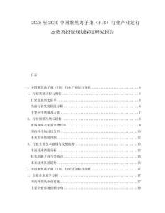 2025至2030中國聚焦離子束（FIB）行業產業運行態勢及投資規劃深度研究報告
