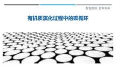 有機質演化過程中的碳循環(huán)-洞察剖析