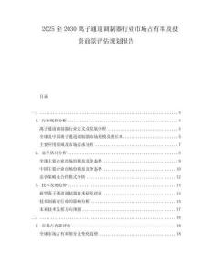 2025至2030離子通道調(diào)制器行業(yè)市場(chǎng)占有率及投資前景評(píng)估規(guī)劃報(bào)告