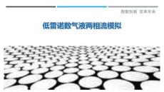 低雷諾數氣液兩相流模擬最佳分析