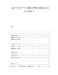2025至2031年中國小圓角包梁鎖市場現(xiàn)狀分析及前景預(yù)測報告