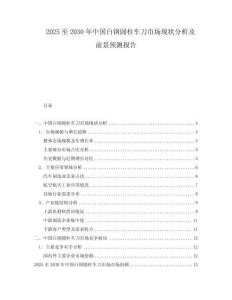 2025至2030年中國白鋼圓柱車刀市場現(xiàn)狀分析及前景預(yù)測報告