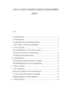 2025至2030CPE流延膜行業(yè)調(diào)研及市場前景預(yù)測評估報(bào)告