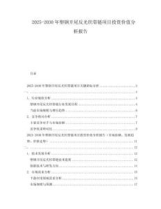 2025-2030年塑鋼開尾反光織帶鏈項(xiàng)目投資價(jià)值分析報(bào)告