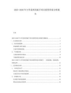 2025-2030年9件套兩用扳手項(xiàng)目投資價(jià)值分析報(bào)告