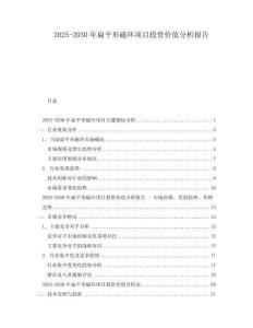 2025-2030年扁平形磁环项目投资价值分析报告