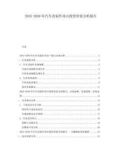 2025-2030年汽車改裝件項目投資價值分析報告