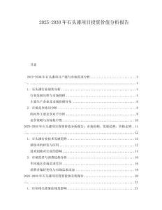 2025-2030年石頭漆項目投資價值分析報告