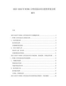 2025-2030年WCDMA小型直放站項目投資價值分析報告