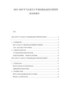 2025-2030年氣壓鼓式卡車制動器總成項目投資價值分析報告