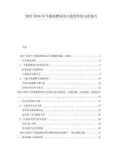 2025-2030年節(jié)煤助燃劑項目投資價值分析報告