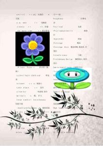 電子信息專業英語單詞收錄