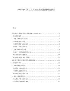 2025年中國雙孔八棱柱數據監測研究報告