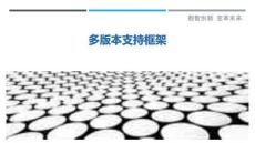 多版本支持框架最佳分析