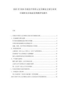 2025至2030全球及中國(guó)多云安全解決方案行業(yè)項(xiàng)目調(diào)研及市場(chǎng)前景預(yù)測(cè)評(píng)估報(bào)告
