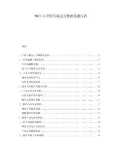 2025年中國馬賽克臺數(shù)據(jù)監(jiān)測報告