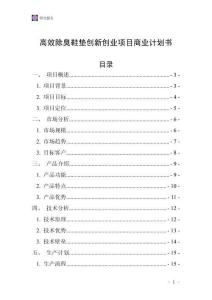 高效除臭鞋墊創新創業項目商業計劃書