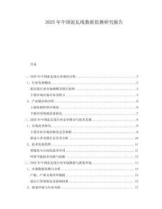 2025年中國(guó)泥瓦線數(shù)據(jù)監(jiān)測(cè)研究報(bào)告