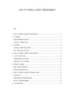 2025年中國鈕孔刀保險閂數據監測報告