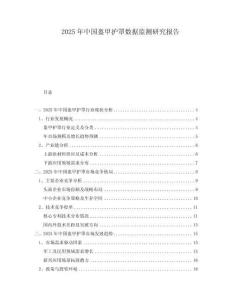 2025年中國盔甲護(hù)罩?jǐn)?shù)據(jù)監(jiān)測研究報告