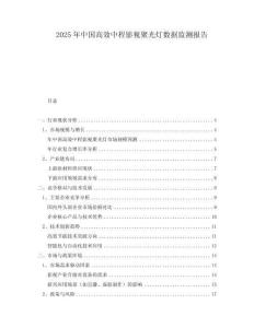 2025年中國(guó)高效中程影視聚光燈數(shù)據(jù)監(jiān)測(cè)報(bào)告
