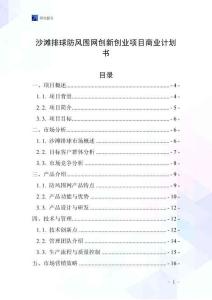 沙灘排球防風圍網創新創業項目商業計劃書