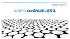 CRISPR-Cas9靶向顱內(nèi)病原體最佳分析
