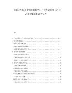 2025至2030中國光掩模空白行業發展研究與產業戰略規劃分析評估報告