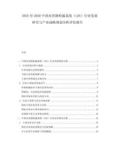 2025至2030中國水管路檢漏系統(tǒng)（LDS）行業(yè)發(fā)展研究與產(chǎn)業(yè)戰(zhàn)略規(guī)劃分析評估報(bào)告