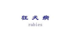 狂犬病课件