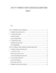 2025年中國(guó)銅制手電筒行業(yè)投資前景及策略咨詢(xún)研究報(bào)告