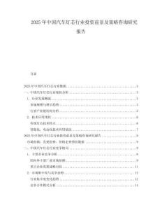 2025年中國汽車燈芯行業投資前景及策略咨詢研究報告