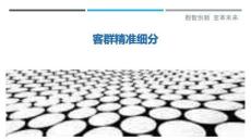 客群精準(zhǔn)細(xì)分最佳分析