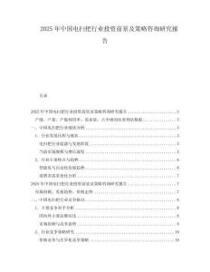 2025年中國電掃把行業(yè)投資前景及策略咨詢研究報(bào)告