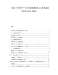 2025至2030年中國片形預(yù)絕緣端頭行業(yè)投資前景及策略咨詢研究報告