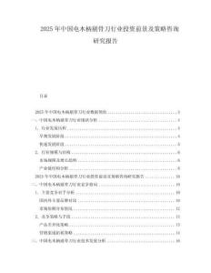 2025年中國電木柄剔骨刀行業投資前景及策略咨詢研究報告