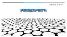 多維度信譽評估體系最佳分析